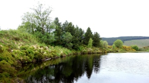 gortin forest lakes (12)